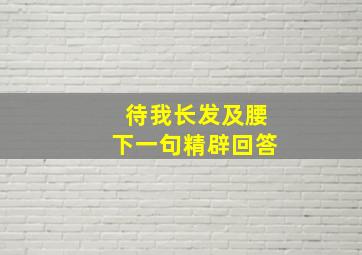 待我长发及腰下一句精辟回答