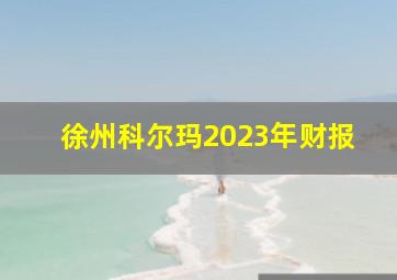 徐州科尔玛2023年财报