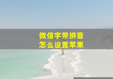 微信字带拼音怎么设置苹果