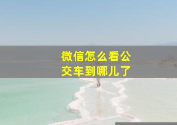 微信怎么看公交车到哪儿了