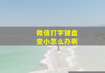 微信打字键盘变小怎么办啊