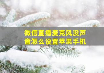 微信直播麦克风没声音怎么设置苹果手机