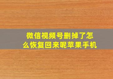 微信视频号删掉了怎么恢复回来呢苹果手机