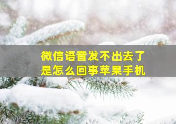 微信语音发不出去了是怎么回事苹果手机