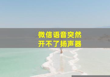 微信语音突然开不了扬声器