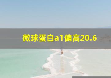 微球蛋白a1偏高20.6