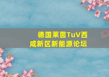 德国莱茵TuV西咸新区新能源论坛