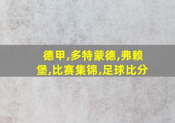 德甲,多特蒙德,弗赖堡,比赛集锦,足球比分