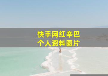 快手网红辛巴个人资料图片