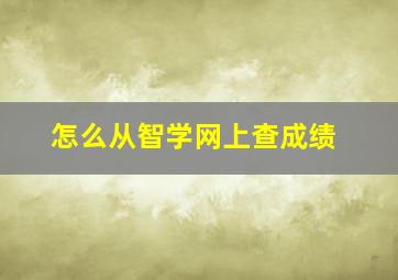 怎么从智学网上查成绩