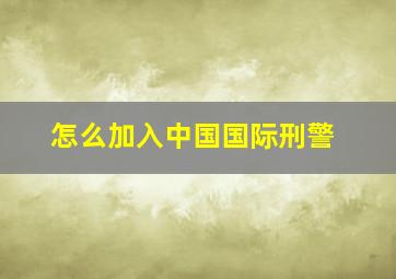 怎么加入中国国际刑警