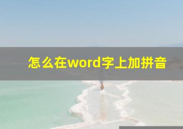 怎么在word字上加拼音