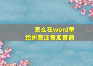 怎么在word里给拼音注音加音调