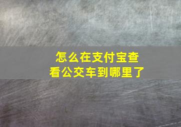 怎么在支付宝查看公交车到哪里了