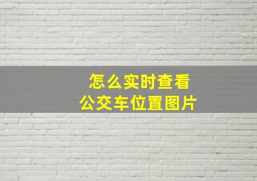 怎么实时查看公交车位置图片