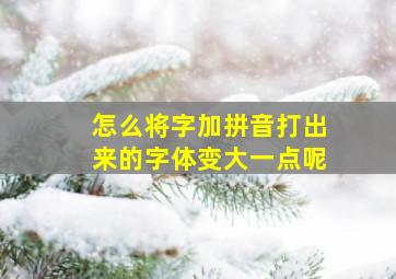 怎么将字加拼音打出来的字体变大一点呢