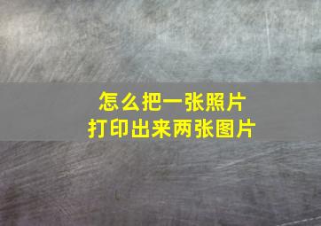 怎么把一张照片打印出来两张图片