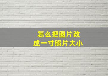 怎么把图片改成一寸照片大小