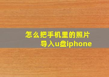 怎么把手机里的照片导入u盘iphone