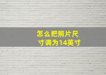 怎么把照片尺寸调为14英寸