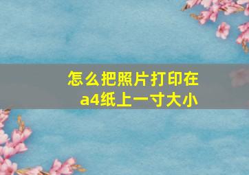 怎么把照片打印在a4纸上一寸大小