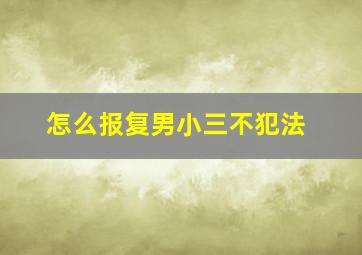 怎么报复男小三不犯法