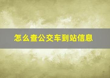 怎么查公交车到站信息