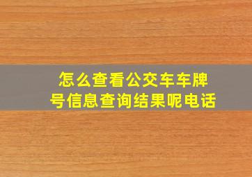 怎么查看公交车车牌号信息查询结果呢电话