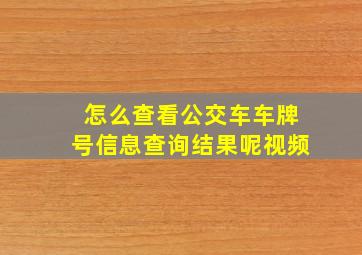 怎么查看公交车车牌号信息查询结果呢视频