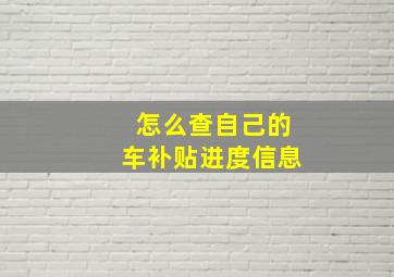 怎么查自己的车补贴进度信息