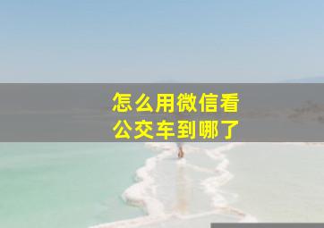 怎么用微信看公交车到哪了