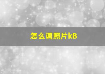 怎么调照片kB