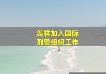 怎样加入国际刑警组织工作