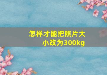 怎样才能把照片大小改为300kg