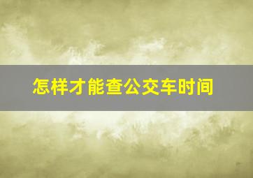 怎样才能查公交车时间