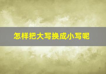 怎样把大写换成小写呢