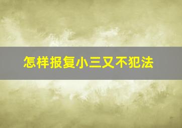 怎样报复小三又不犯法