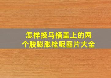 怎样换马桶盖上的两个胶膨胀栓呢图片大全