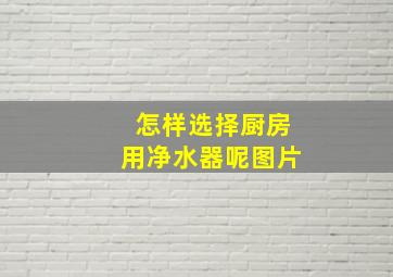 怎样选择厨房用净水器呢图片