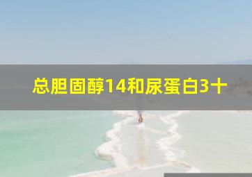 总胆固醇14和尿蛋白3十