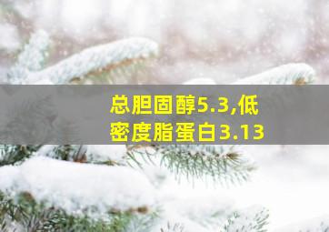 总胆固醇5.3,低密度脂蛋白3.13