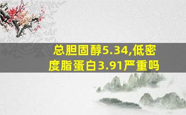 总胆固醇5.34,低密度脂蛋白3.91严重吗