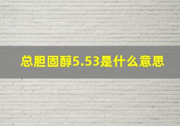 总胆固醇5.53是什么意思