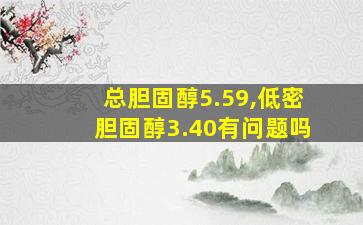 总胆固醇5.59,低密胆固醇3.40有问题吗