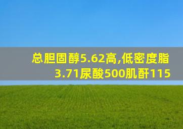 总胆固醇5.62高,低密度脂3.71尿酸500肌酐115