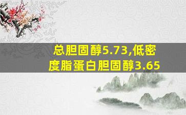 总胆固醇5.73,低密度脂蛋白胆固醇3.65