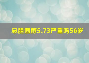 总胆固醇5.73严重吗56岁