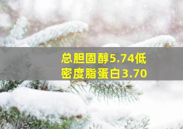 总胆固醇5.74低密度脂蛋白3.70