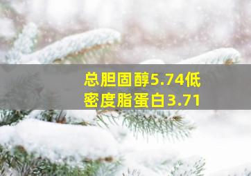 总胆固醇5.74低密度脂蛋白3.71