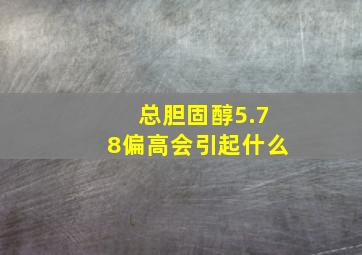 总胆固醇5.78偏高会引起什么